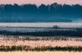 005_Biebrza - kwiecien 2012